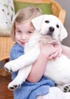 Picture of girl holding her Labrador puppy