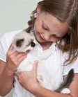 Picture of girl holding Ragdoll kitten