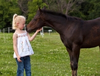 Picture of girl looking at appaloosa