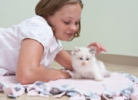 Picture of girl lying down with Ragdoll