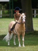 Picture of Girl riding Palomino horse