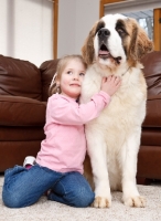 Picture of Girl with a Saint Bernard