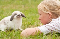 Picture of girl with mini lop rabbit