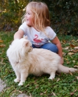 Picture of girl with Ragdoll on grass