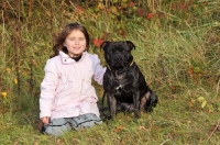 Picture of girl with Staffordshire Bull Terrier