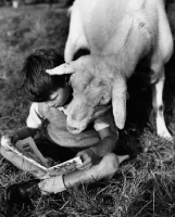 Picture of goat reading book with boy