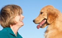 Picture of Golden Retriever looking at woman
