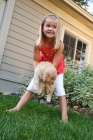Picture of Golden Retriever puppy being carried by a girl