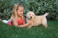 Picture of Golden Retriever puppy with girl