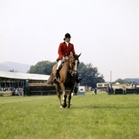 Picture of graham fletcher, show jumper, 3 counties show â€˜75