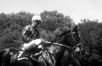 Picture of greville starkey at goodwood races