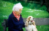 Picture of grey haired lady with her cocker spaniel