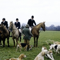 Picture of group at meet of heythrop hunt, 1981
