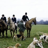 Picture of group at meet of heythrop hunt, 1981
