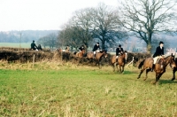 Picture of group of horses and riders drag hunting 