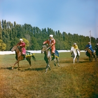 Picture of group of karabair horses and riders galloping, colour fade in picture