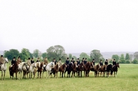 Picture of group of riders and ponies with the pony club