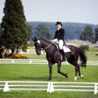 Picture of gunther lange at eventing dressage at luhmuhlen 