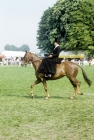Picture of hack class at windsor, sidesaddle, 