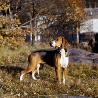 Picture of hamiltonstovare in sweden, looking back