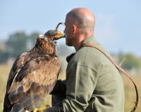 Picture of handler and eagle