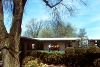 Picture of handler grooming thoroughbred wajima at spendthrift farm, kentucky