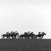 Picture of heythrop hunt point to point 1982