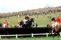 Picture of heythrop hunt point to point 1977