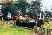Picture of heythrop hunt point to point 1977