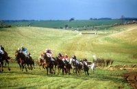 Picture of heythrop hunt point to point at fox farm,1982 