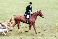 Picture of heythrop hunt