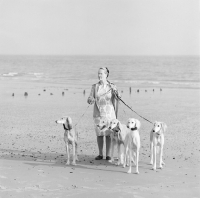 Picture of hope waters with five salukis on a sussex beach
