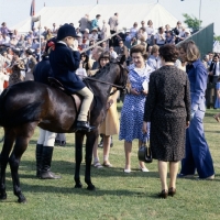 Picture of hopstone banafsheh, caspian pony  meeting the Queen