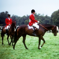Picture of horse and rider at international trials burley