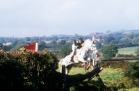 Picture of horse and rider in team cross country, team chase