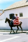 Picture of horse and rider in traditional parade at arles, france