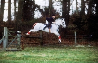 Picture of horse and rider jumping a gate with berks and bucks drag hunt