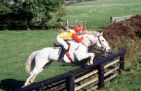 Picture of horse and rider jumping fence in team chase