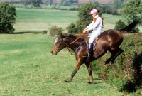 Picture of horse and rider landing in team cross country, team chase 