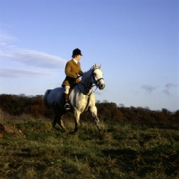 Picture of horse and rider moving at fast trot