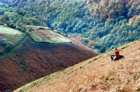 Picture of horse and rider on a hillside on exmoor during a hunt with exmoor foxhounds