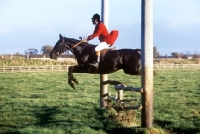 Picture of horse and rider out with the berks and bucks drag hunt