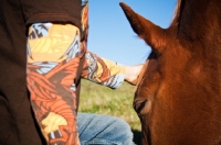 Picture of horse being pat by child