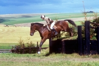 Picture of horse jumping a bank at wylye horse trials