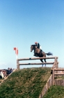 Picture of horse jumping a drop fence at  badminton horse trials