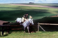 Picture of horse jumping at wylye horse trials