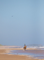 Picture of horse riding on beach