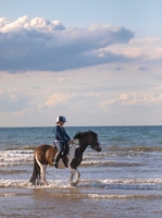 Picture of Horseback riding in the sea