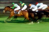 Picture of horses and jockeys racing at racecourse