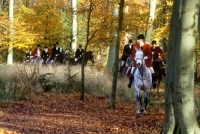 Picture of horses and riders out with the  Vale of Aylesbury hunt